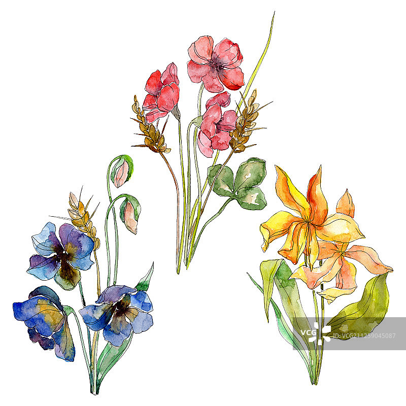 野花花束水彩植物花卉背景。孤立的野花元素图片素材
