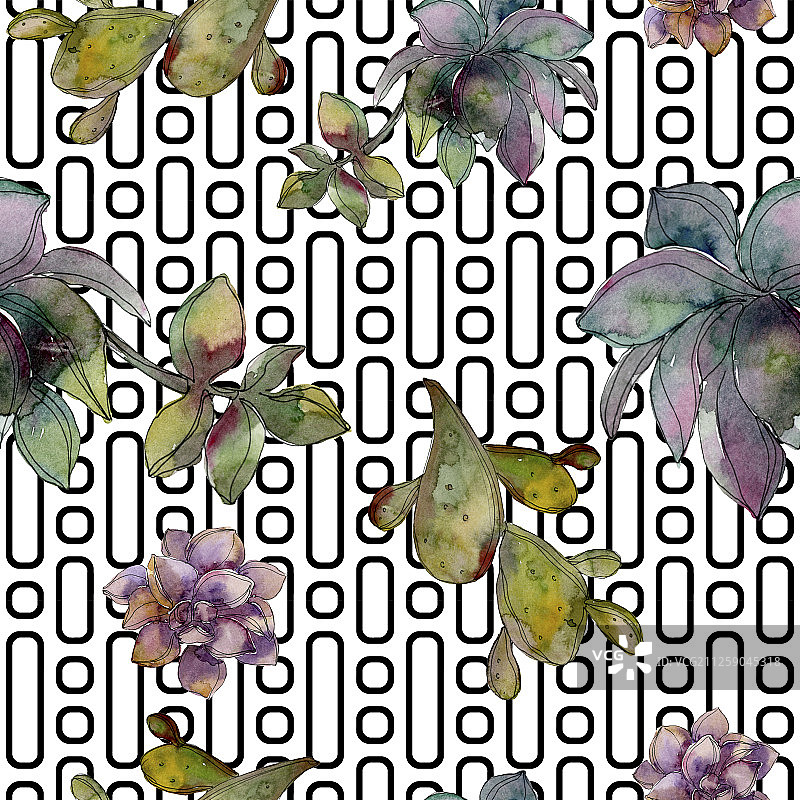 丛林植物多肉花卉水彩背景插画无缝图案图片素材