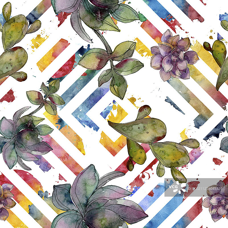 丛林植物多肉花卉水彩背景插画无缝图案图片素材
