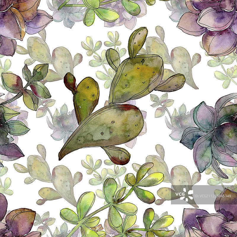 丛林植物多肉花卉水彩背景插画无缝图案图片素材