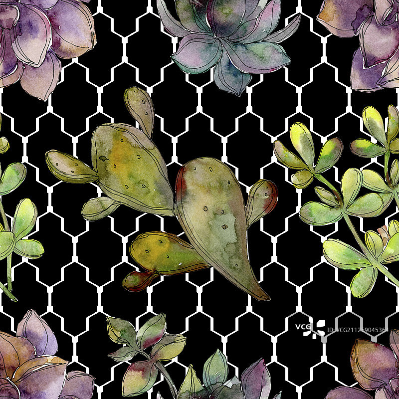 丛林植物多肉花卉水彩背景插画无缝图案图片素材