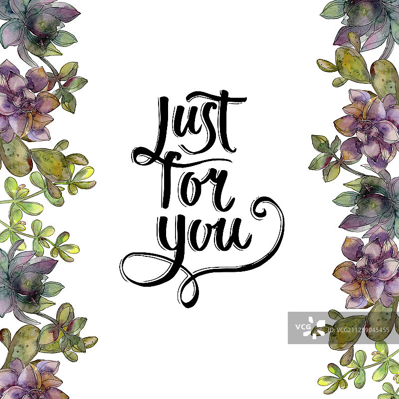 丛林植物多肉花卉水彩背景边框图片素材