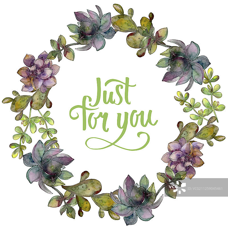 丛林植物多肉花卉水彩背景边框图片素材