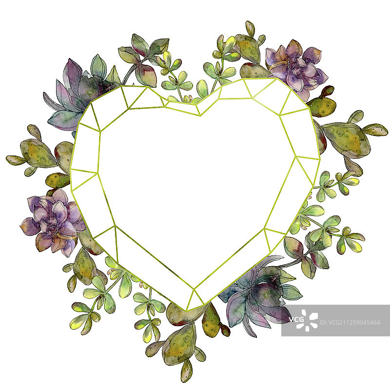 丛林植物多肉花卉，水晶边框正方形水彩背景图图片素材