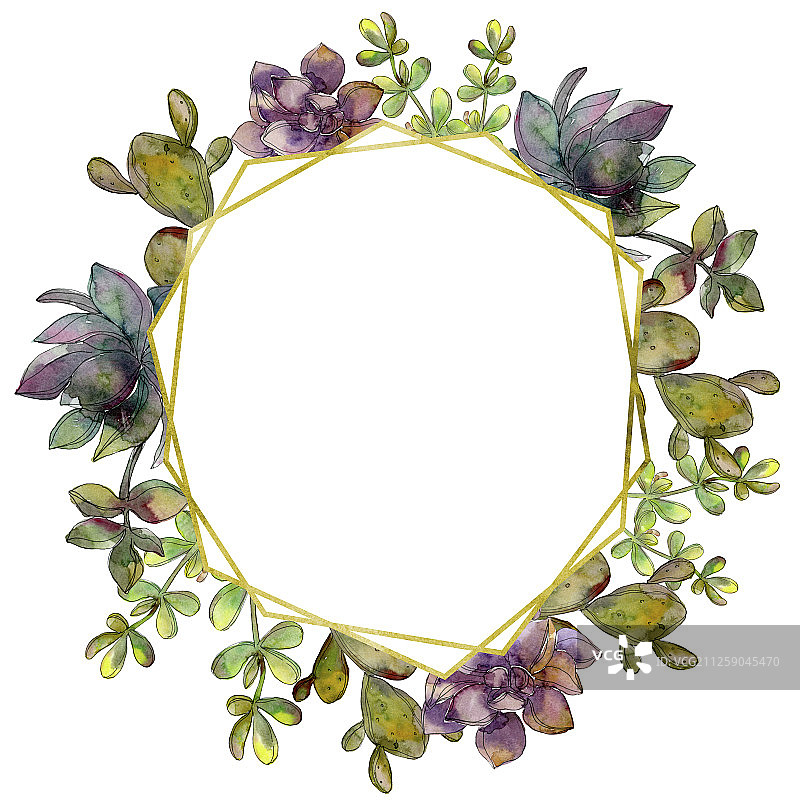 丛林植物多肉花卉，水晶边框正方形水彩背景图图片素材