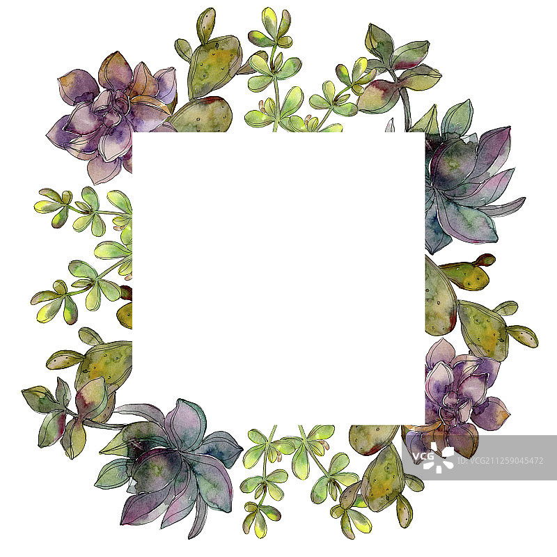 丛林植物多肉花卉水彩背景边框图片素材
