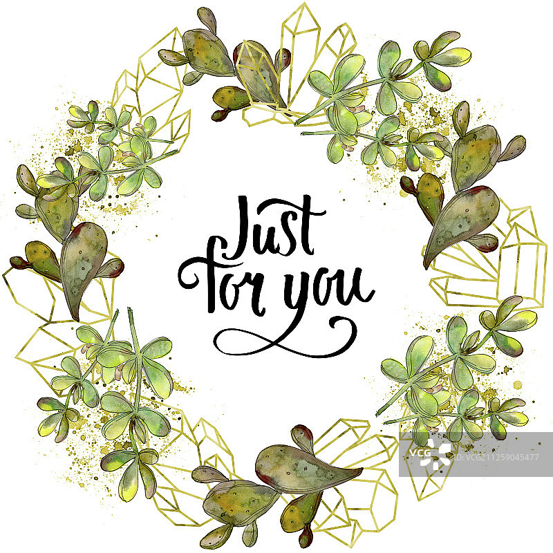 丛林植物多肉花卉，水晶边框正方形水彩背景图图片素材