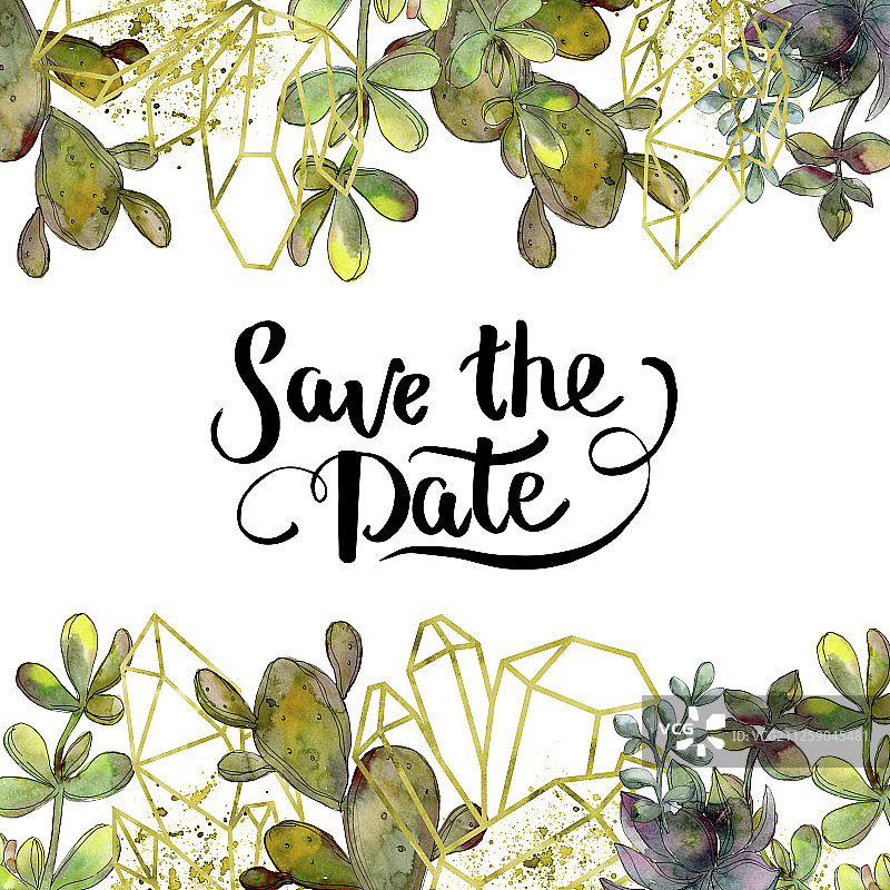 丛林植物多肉花卉，水晶边框正方形水彩背景图图片素材