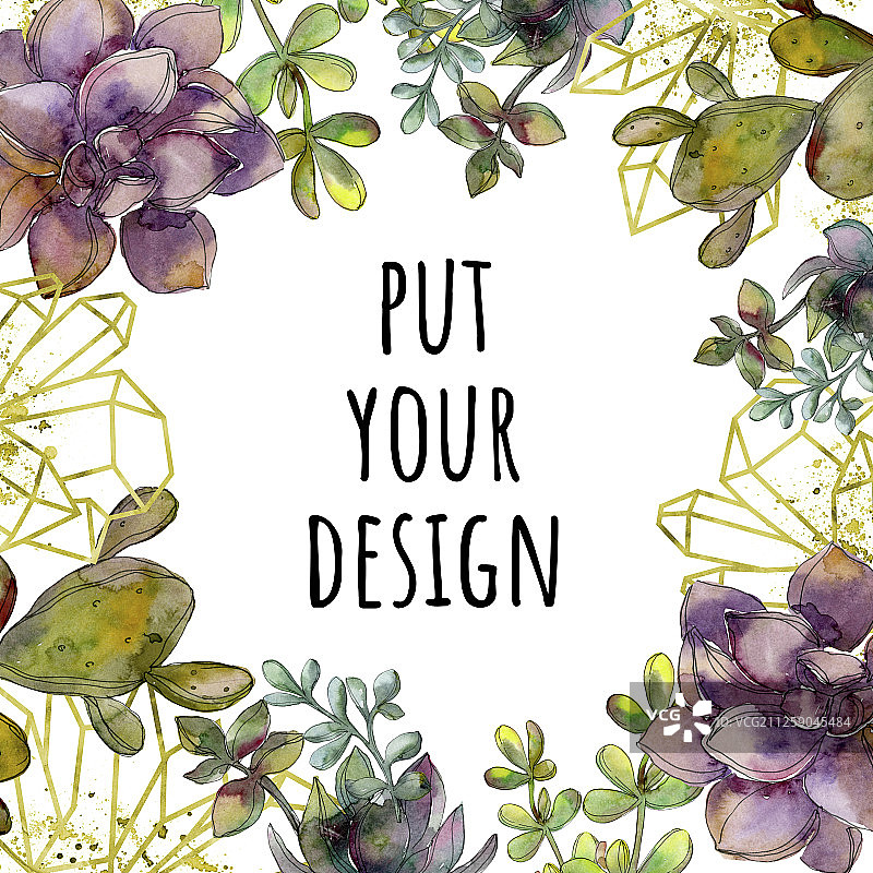 丛林植物多肉花卉，水晶边框正方形水彩背景图图片素材