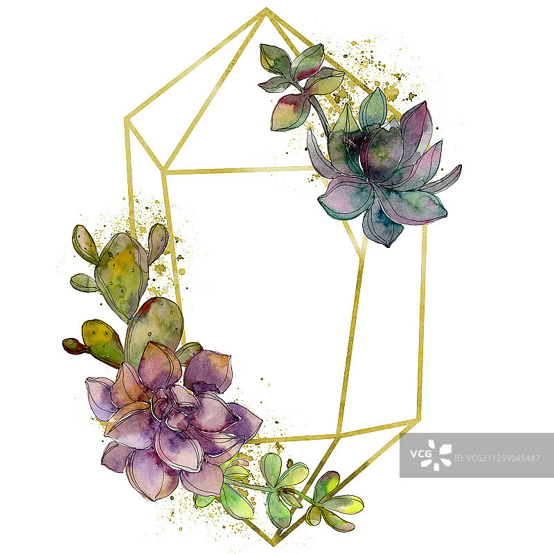 丛林植物多肉花卉，水晶边框正方形水彩背景图图片素材