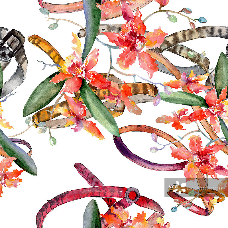 珊瑚兰花枝图片素材