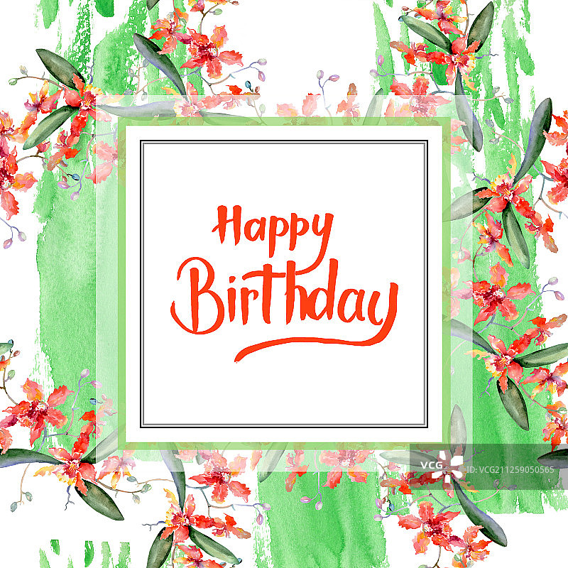 珊瑚兰花枝：水彩背景花卉边框图片素材