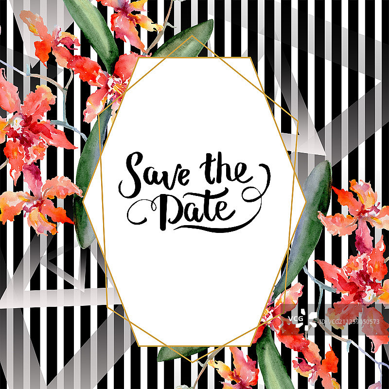 珊瑚兰花枝：水彩背景花卉边框图片素材