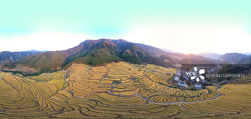 南方秋天金黄的梯田图片素材