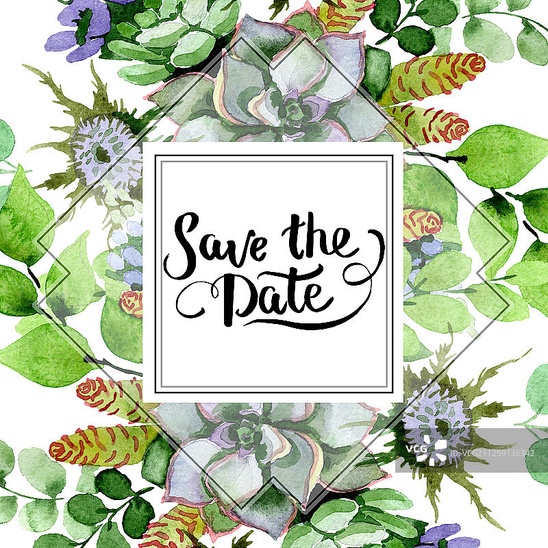 多肉植物花束水彩花卉植物，水彩背景插图集，框架边框装饰方块图片素材