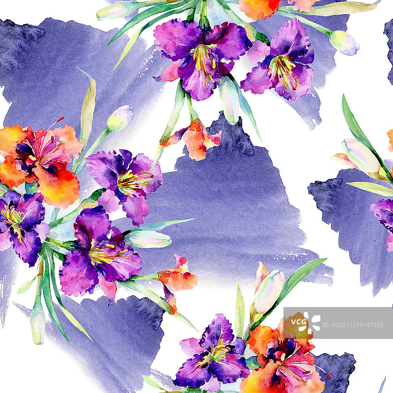 紫色萱草花束水彩背景图案图片素材