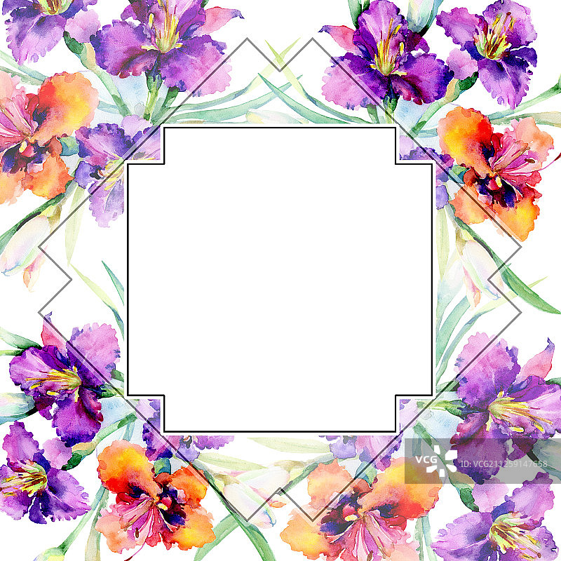 紫色萱草花束水彩背景边框图片素材