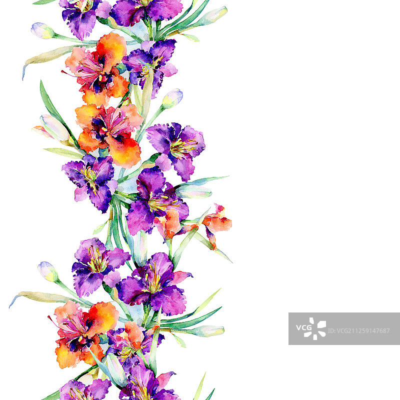 紫色萱草花束水彩背景图案图片素材