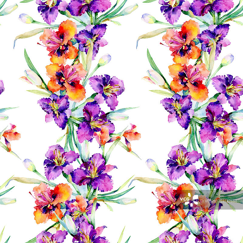 紫色萱草花束水彩背景图案图片素材