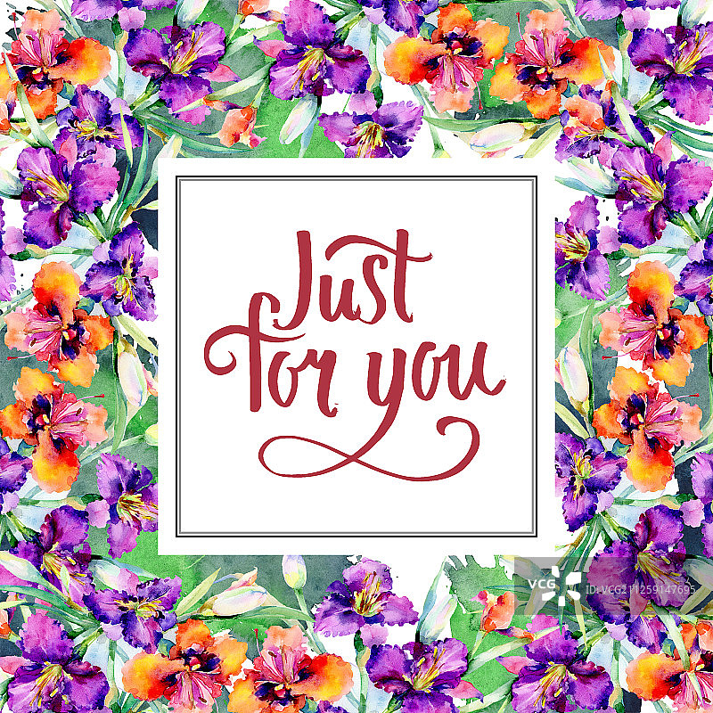 紫色萱草花束水彩背景边框图片素材