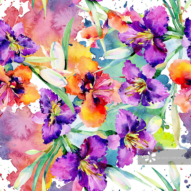 紫色萱草花束水彩背景图案图片素材