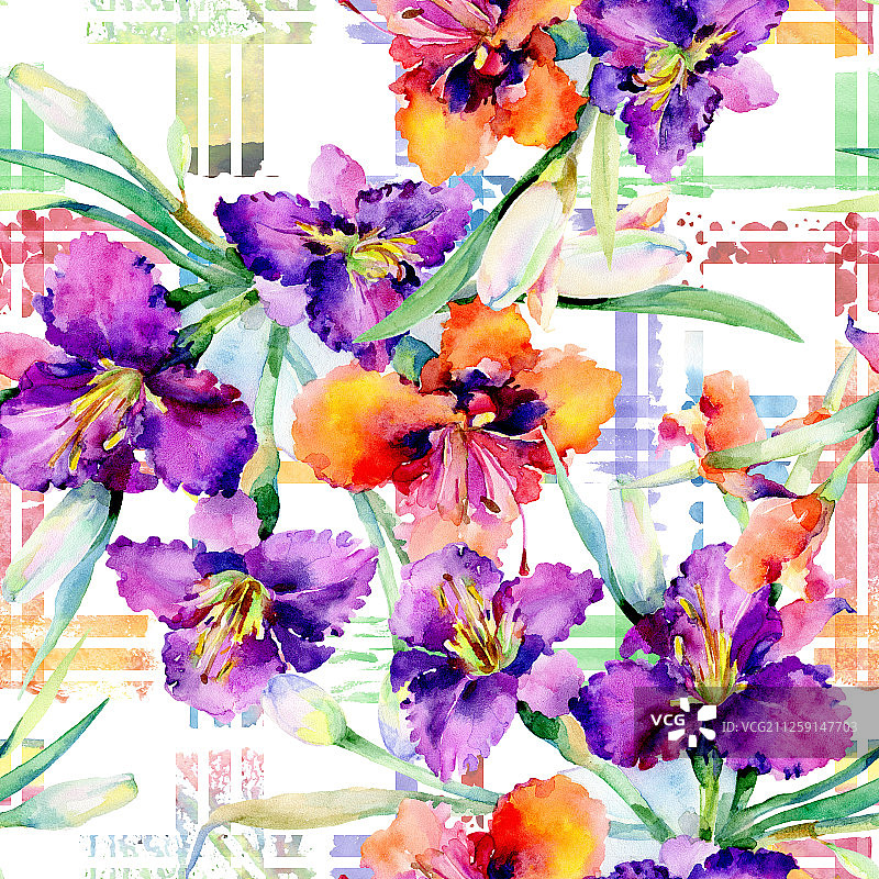 紫色萱草花束水彩背景图案图片素材