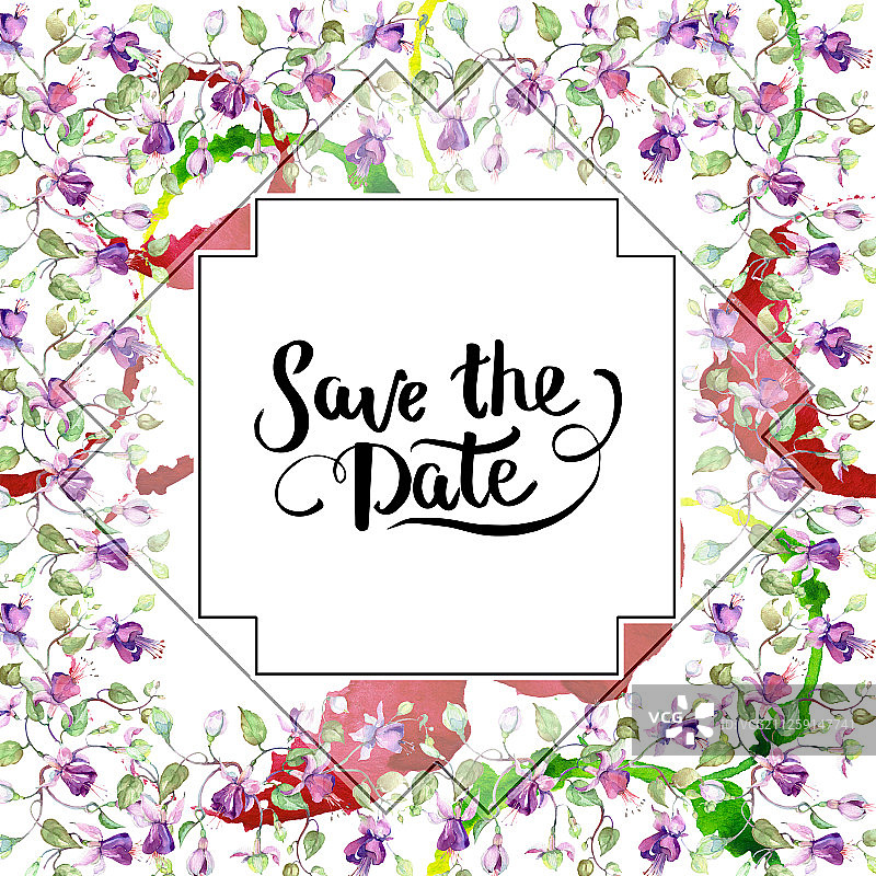 紫色倒挂金钟花束。花卉植物花朵。水彩背景插图集。框架边框装饰方块。图片素材