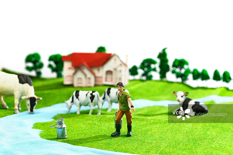 奶牛牧场图片素材