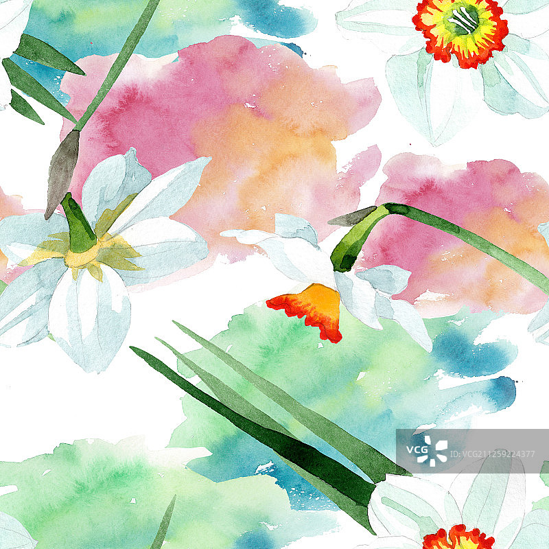 白色水仙花卉植物花朵水彩背景图案图片素材