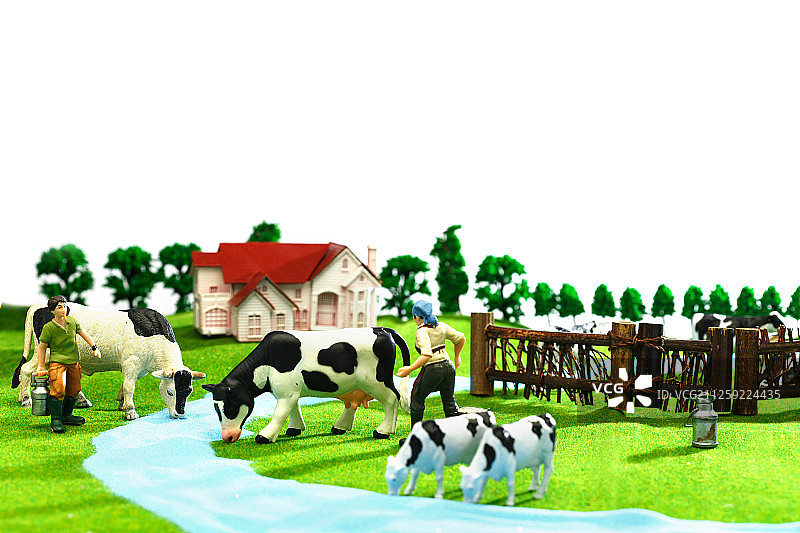 奶牛牧场图片素材
