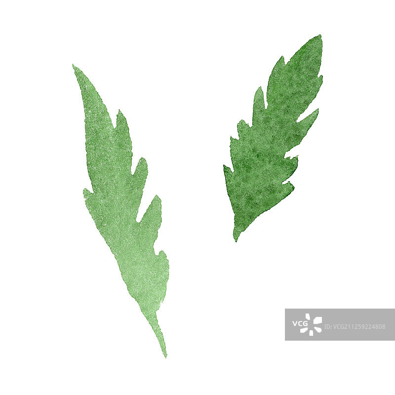 黄色雏菊花卉水彩背景插画图片素材