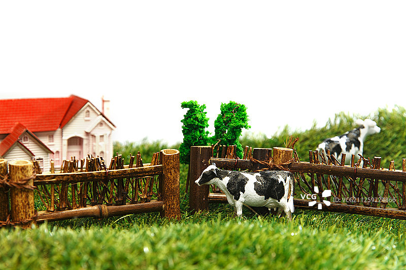 奶牛牧场图片素材