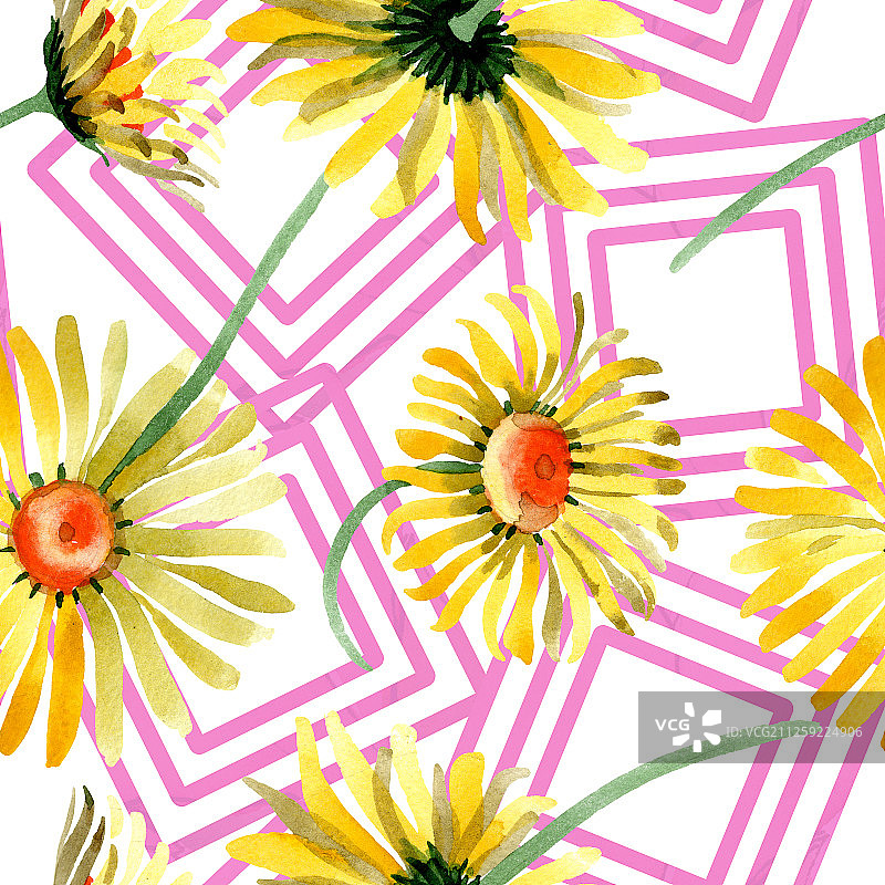 黄色雏菊植物花卉。水彩背景图集。无缝背景图案图片素材