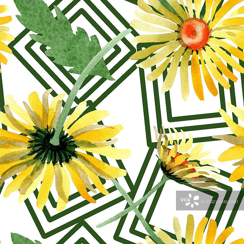 黄色雏菊植物花卉。水彩背景图集。无缝背景图案图片素材