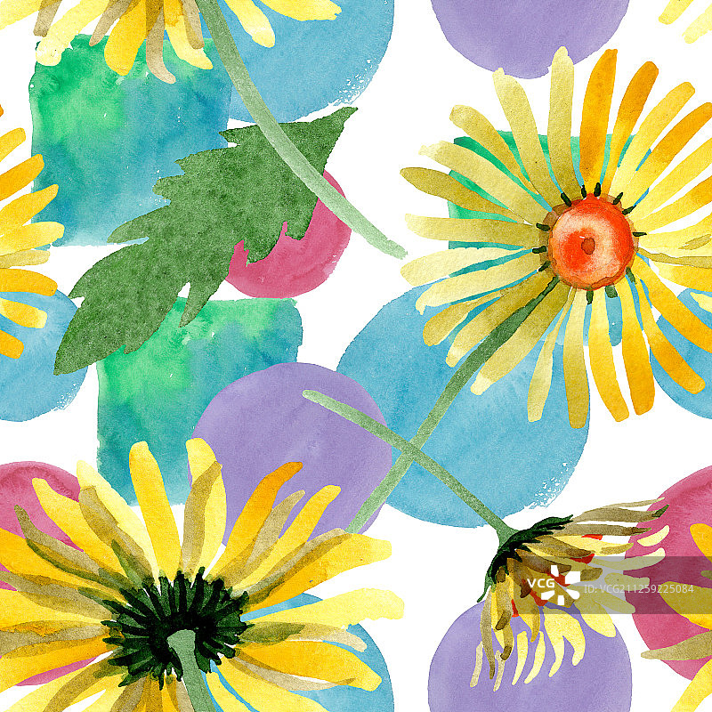 黄色雏菊植物花卉。水彩背景图集。无缝背景图案图片素材