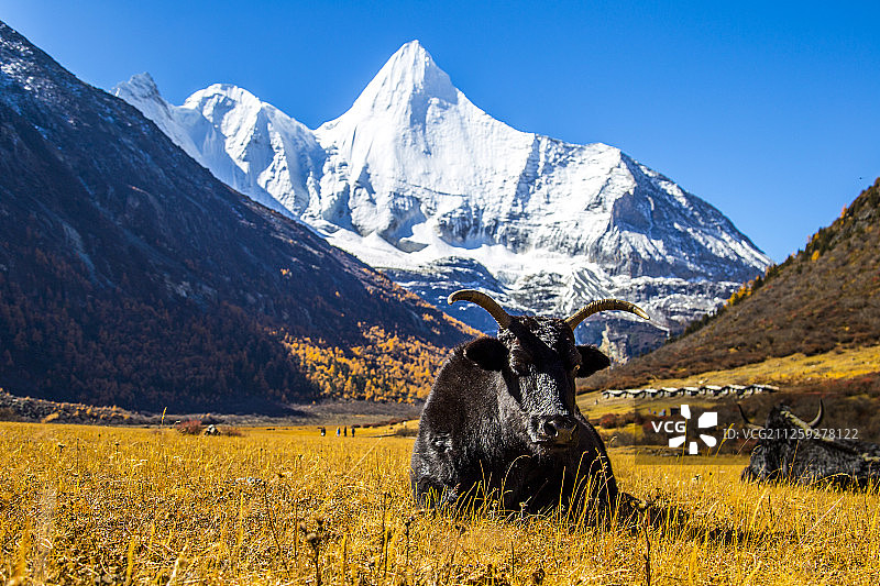 稻城亚丁自然风光图片素材