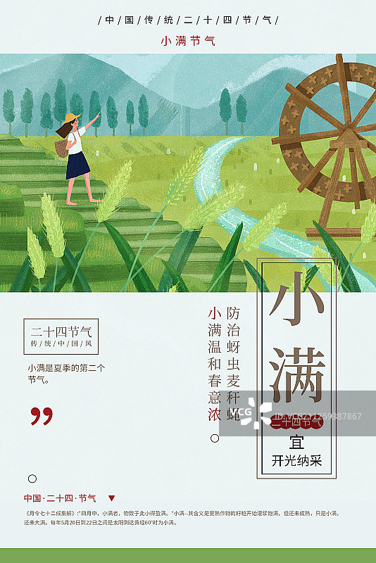 二十四节气24节气小满小清新创意海报图片素材