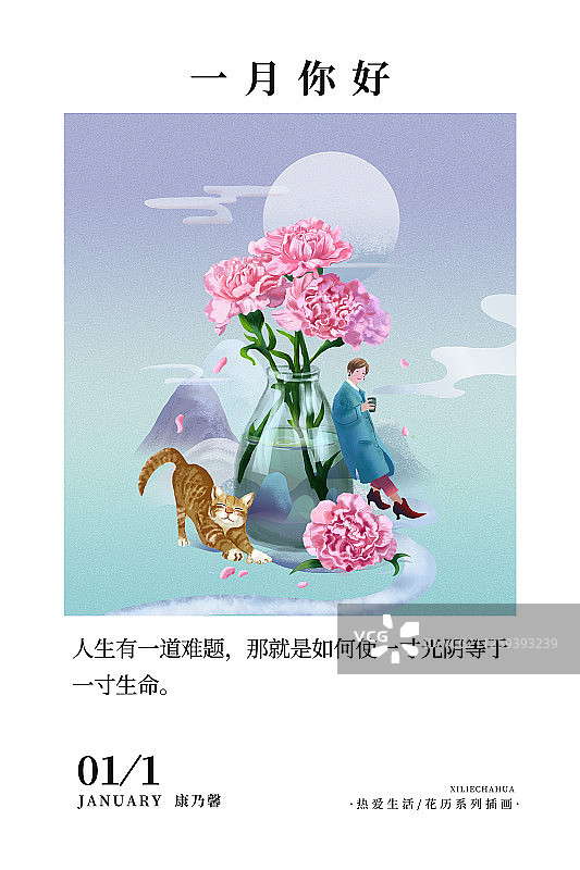 花历1月康乃馨亮版图片素材