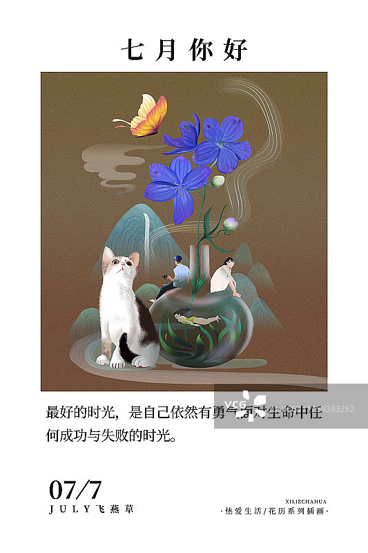花历7月飞燕草暗版图片素材