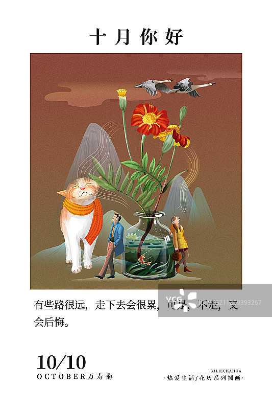 花历10月万寿菊暗版图片素材
