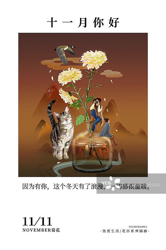 花历11月菊花暗版图片素材