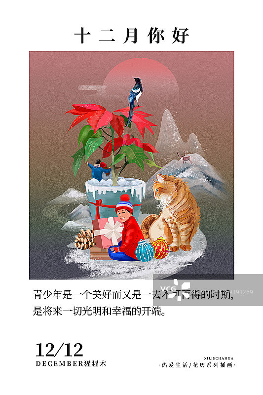 花历12月猩猩木暗版图片素材