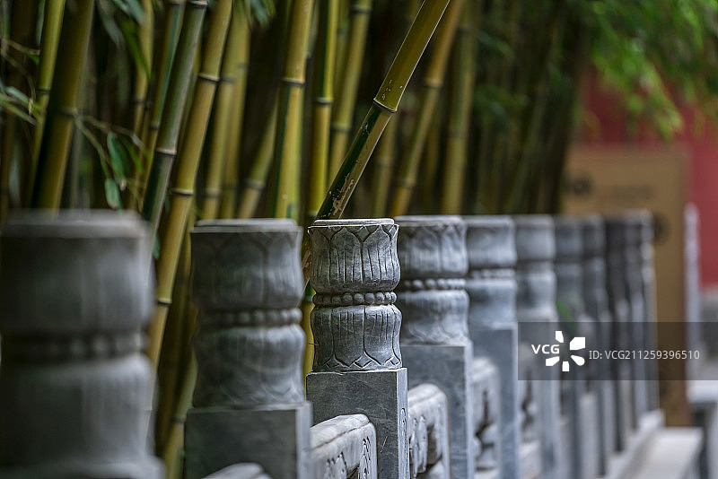 北京潭柘寺竹林图片素材