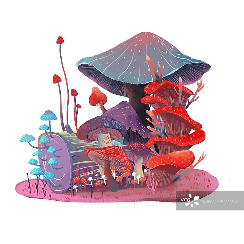 蘑菇丛图片素材