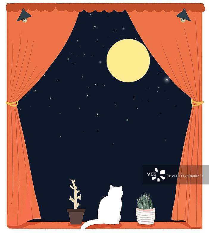 窗台上看夜景的猫图片素材