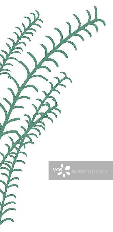 绿色的植物图片素材