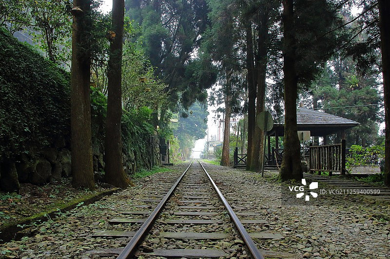 台湾;嘉义;奋起湖;火车铁轨图片素材