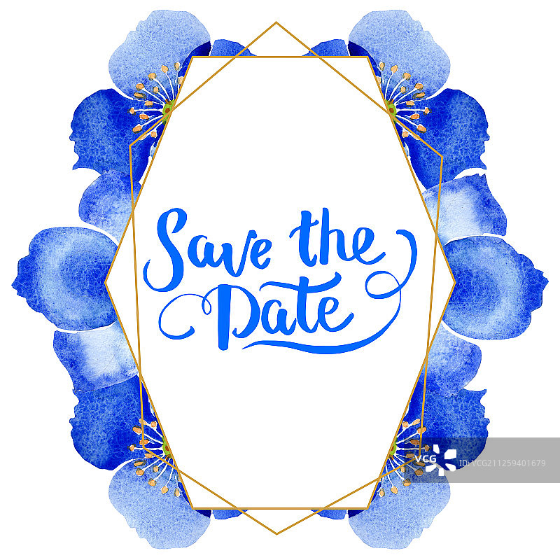 蓝色罂粟花植物花卉水彩背景插图边框装饰方块图片素材