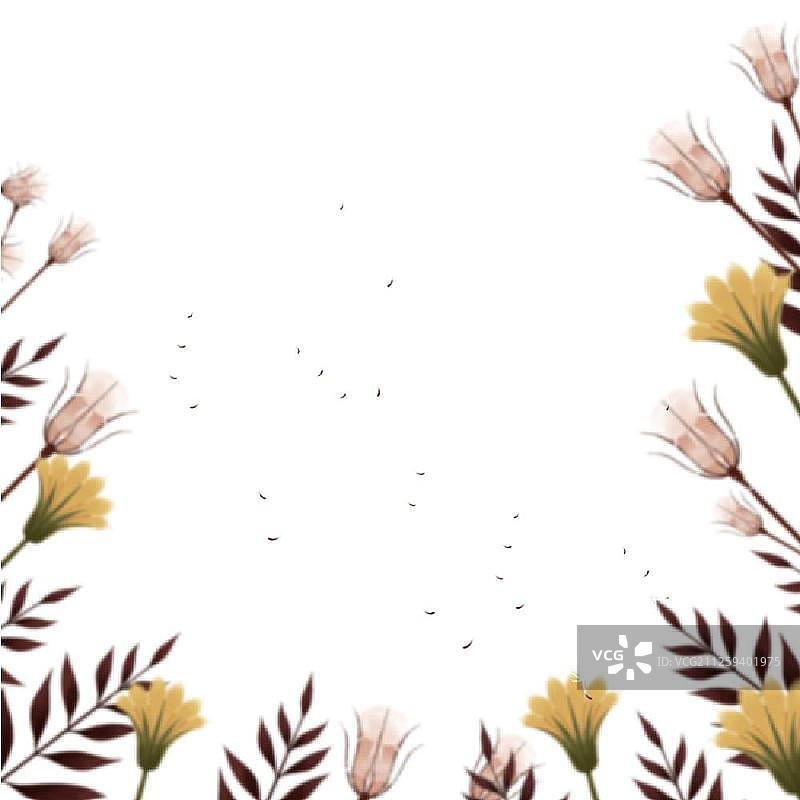手绘花卉图片素材