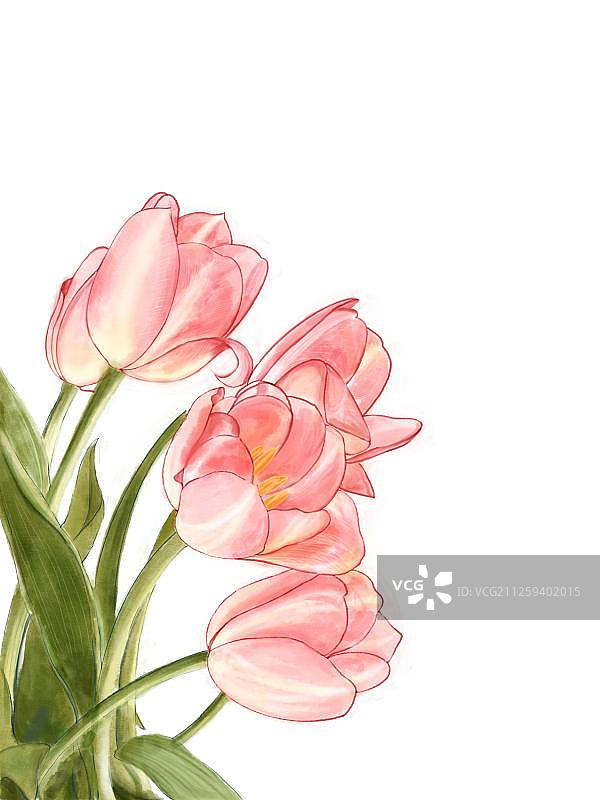 浪漫手绘花卉图片素材